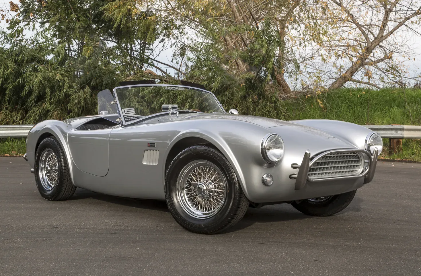 COBRA MKII 289